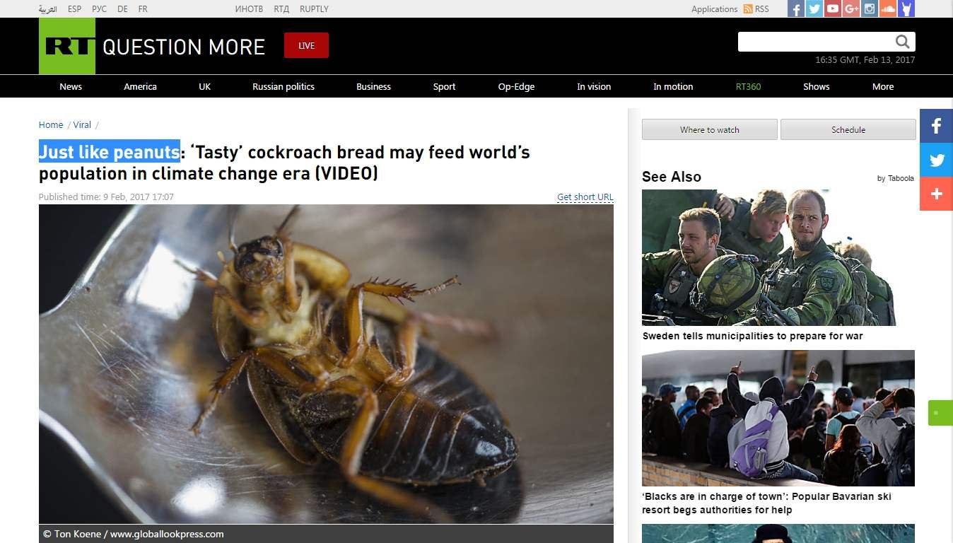Pont olyan, mint a mogyoró: ‘ízletes’ csótánykenyér táplálhatja majd a világ népességét az éghajlatváltozás korában (videóval)