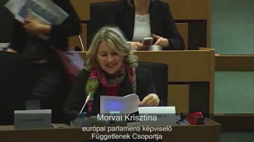 Morvai Krisztina: Miért nem szavaztam Magyarország elítélésére?