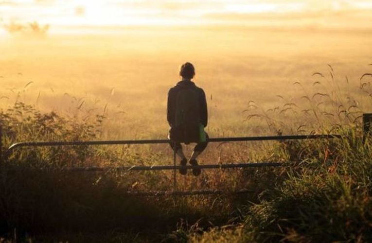 Stoffán György: Csak úgy gondolkodom…