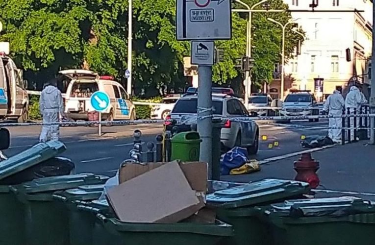 Lányokat védelmeztek, ezért kellett meghalniuk a magyar fiataloknak