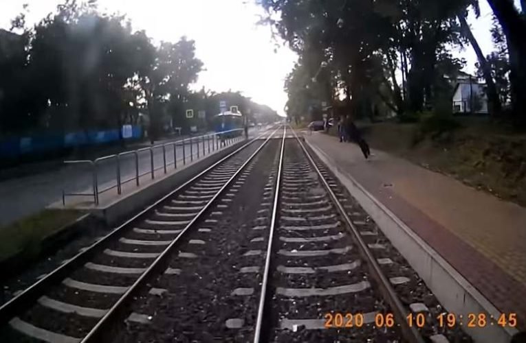 Villamos elé esett egy férfi Budapesten, az egészet rögzítették (+18 videó)