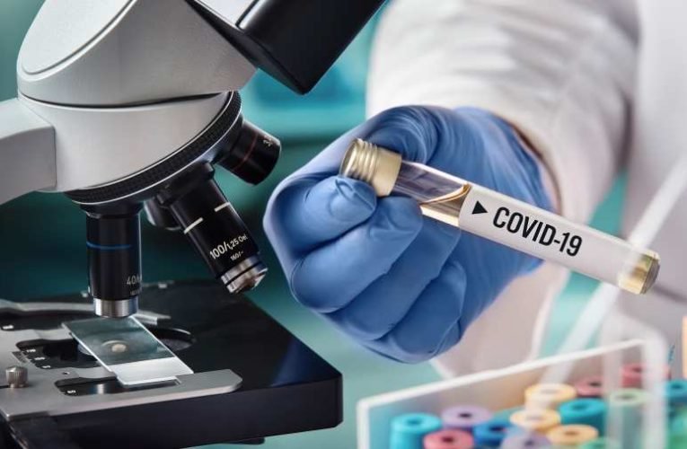 Indul az engedélyeztetés: csapdába csalja a magyar gyógyszer a koronavírust