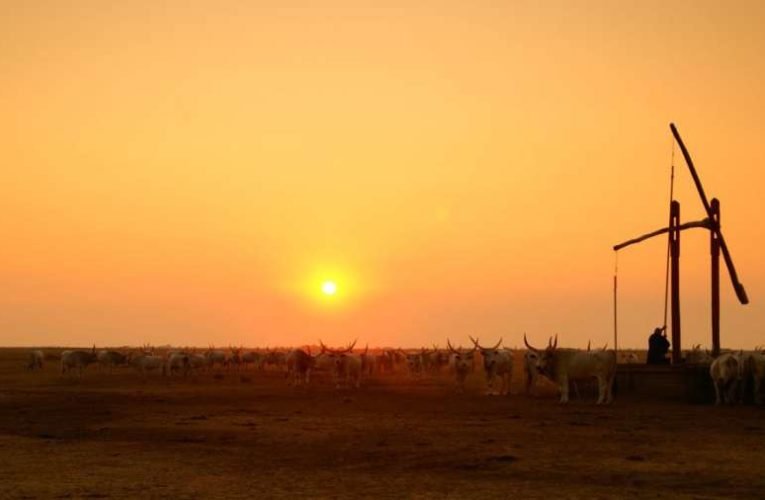 A pásztor ember lelkülete, a magyar ember értékrendje