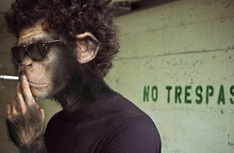 A magyarság harmadik Trianonja? – Üzenet a pártonkívüli, tenni akaró, fotelforradalmároknak