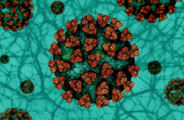 Meghalt 38 beteg, 1820-szal nőtt a fertőzöttek száma Magyarországon