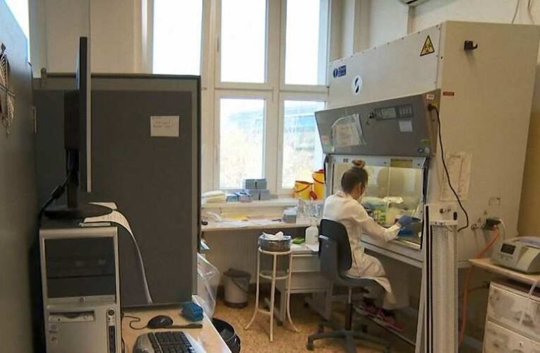 Koronavírus – Megkapta az engedélyt a favipiravir hatóanyagú gyógyszer a klinikai tesztekre