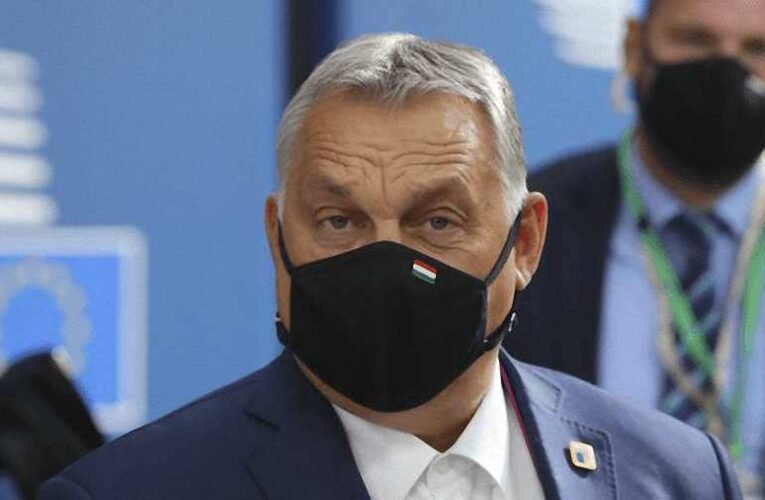 A svédek szerint a magyarok és a lengyelek kilépnek az EU-ból