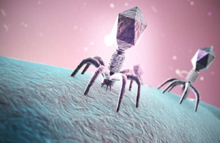 Harmadik világháború vírusfegyverrel?