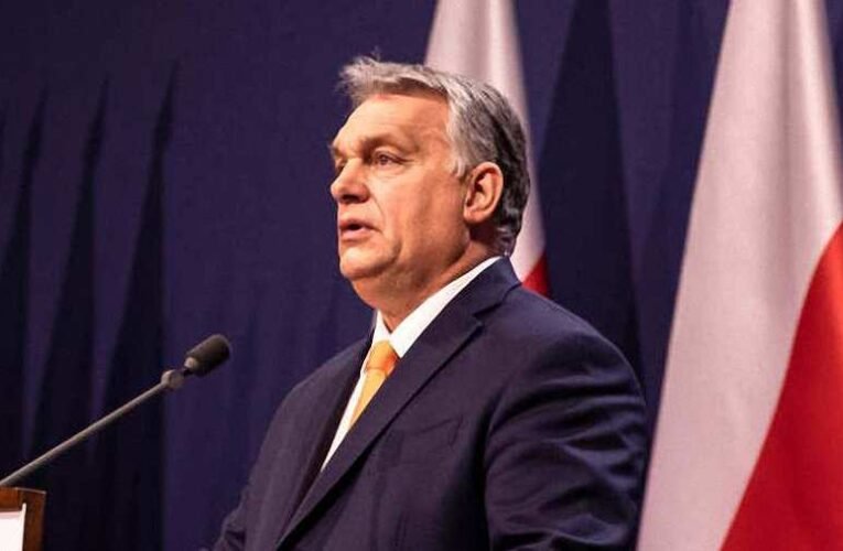 Orbán Viktor válasza Webernek: Balfácánnak néztek bennünket
