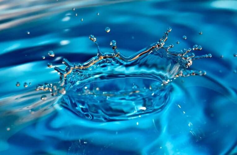 A szenteltvízből keletkezik az élet?