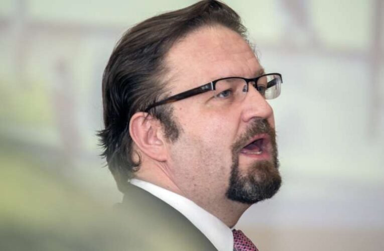 Gorka Sebestyén szerint képmutatás a demokrata politika