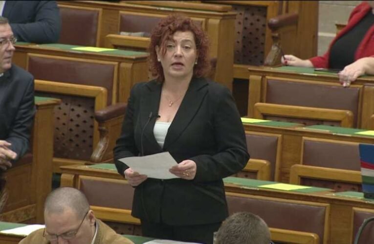 Takarodjon Vadai Ágnes a közéletből! – sajtótájékoztatót tartott a Mi Hazánk elnöke