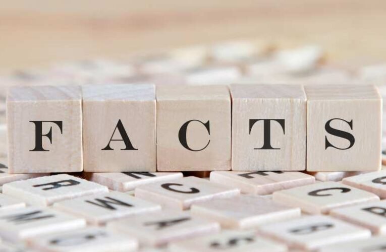 Mayer Gábor: Tények – avagy az önmaguknak maradni akaró makacs dolgok