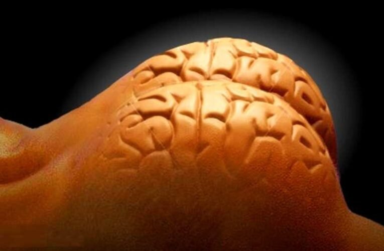 Mayer Gábor: A megdönthetetlen bizonyíték