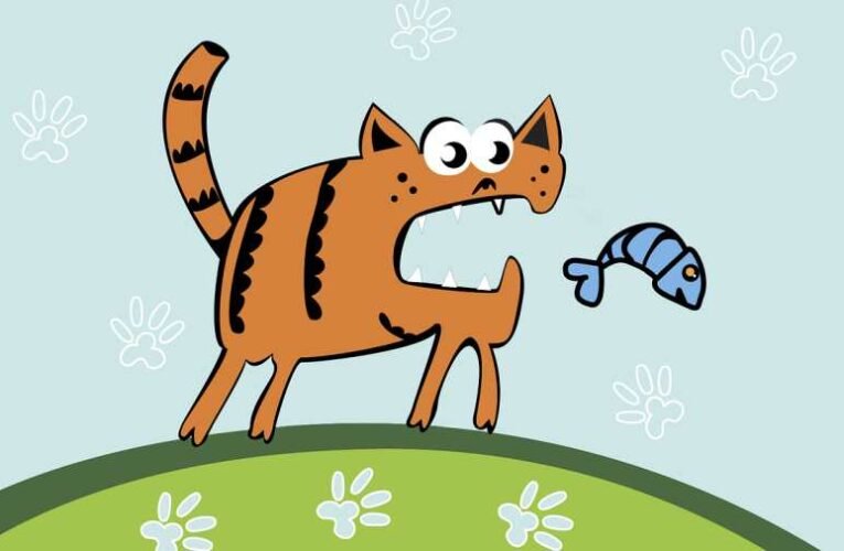 A mélyebb réteg – avagy tanuljunk a macskától