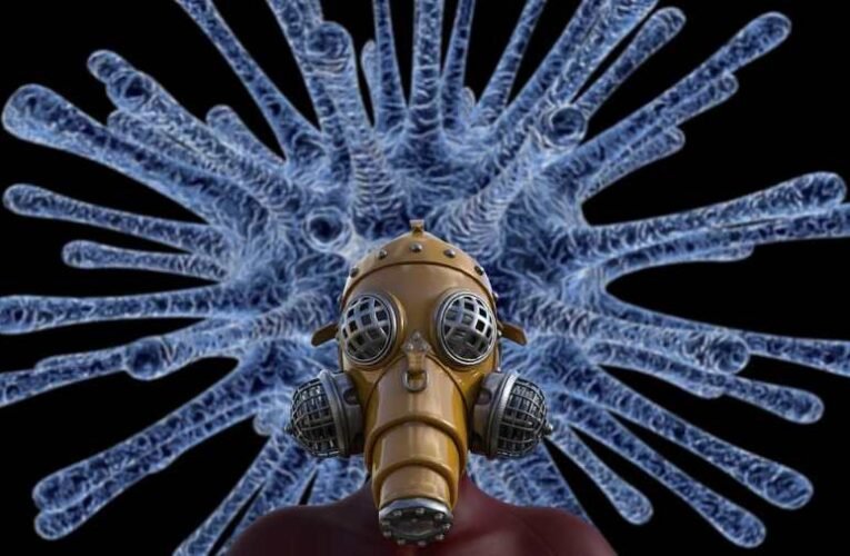 Nem véletlen, hogy a fő kérdés említésre sem kerül