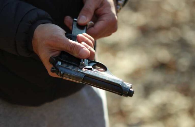 Cseh mintára biztosítaná a fegyverviselési jogot a Mi Hazánk