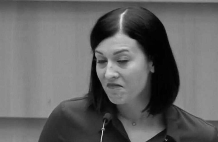 Deutsch Tamás beadvánnyal fordult az Európai Csalás Elleni Hivatalhoz a Cseh Katalin-ügyben