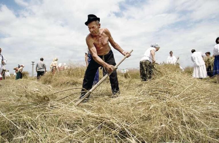 Nyílt levél Orbán Viktornak a földtörvény érvényesíthetőségéről és a lisztes lábú farkasokról