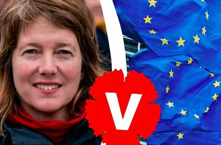 „Nemzeti jogvédő programajánló a hazánkban ideiglenesen „állomásozó” Európai Parlament LIBE Bizottságának