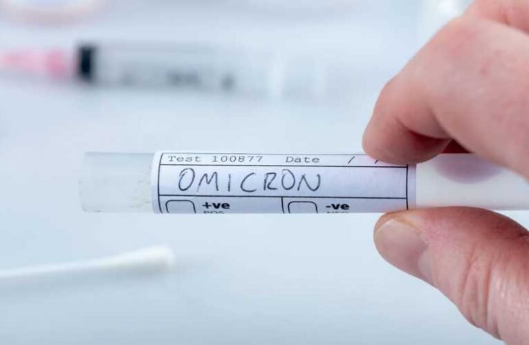 Mayer Gábor: Omicron