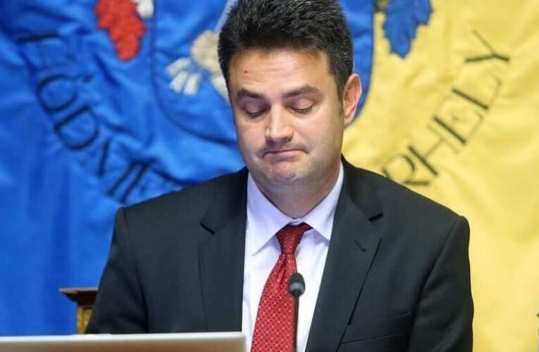 Mayer Gábor: Színe és fonákja