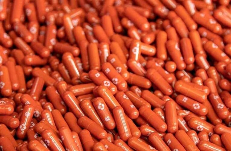 Ingyenesen elérhető magyar fejlesztésű gyógyszer a covid ellen