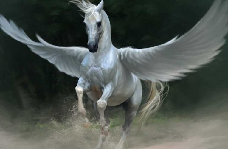 Pegasus-ügy: A honvédelmi bizottság elfogadta a belügyminiszter beszámolóját