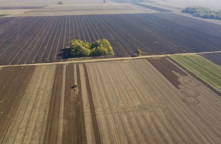 Dr. Bene Gábor: Hunexit helyett Írexit?