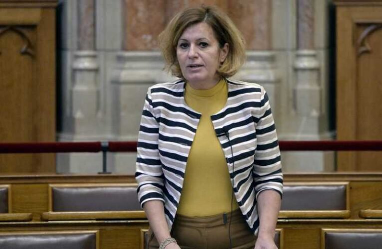 Kizárta az MSZP Bangóné Borbély Ildikót