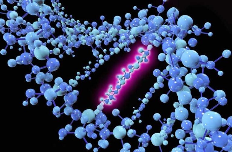 Lengyelországban azonosították a Covid-19 súlyos lefolyásáért felelős génmutációt