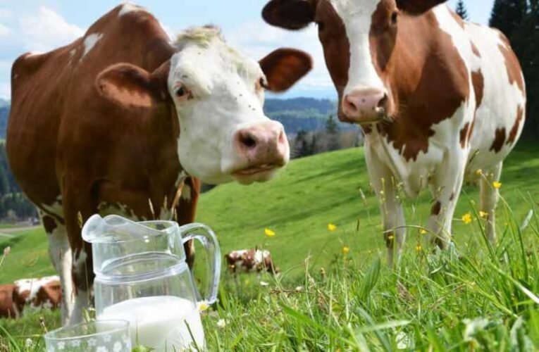 Mi a BAJ az élelmiszerárSTOP-pal? Nem tudja? – Rájön, ha ezt elolvassa!