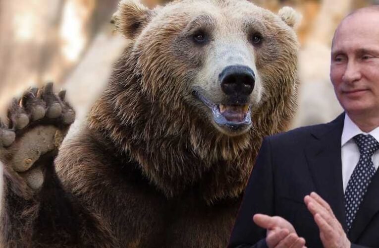 Dr. Polgárdy Géza: Akik szankciókat alkalmaztak Oroszországgal szemben: jól lábon lőtték magukat!