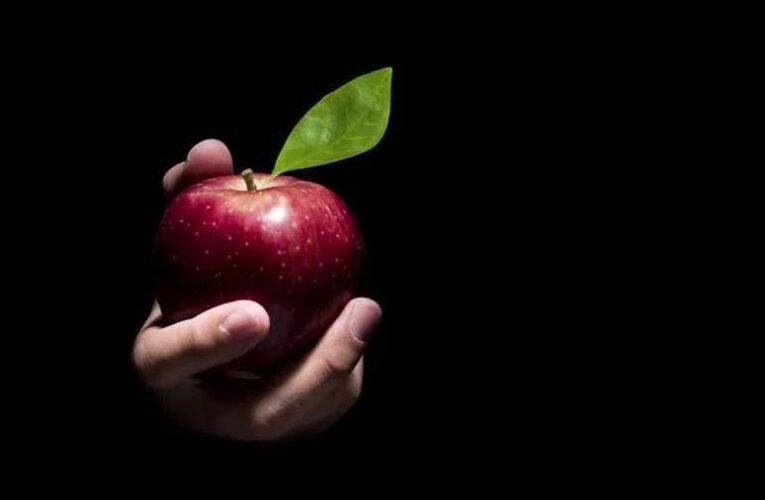 Stoffán György: Kik az igazi háborús bűnösök?