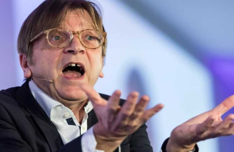 Fogtündér Guy Verhofstadt újra nekiment Elon Musknak