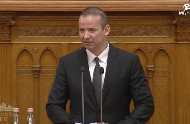 Toroczkai: Nem veszélyhelyzetre, hanem semlegességre van szükség 📺
