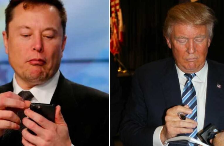 Elon Musk visszaengedné Trumpot a Twitterre