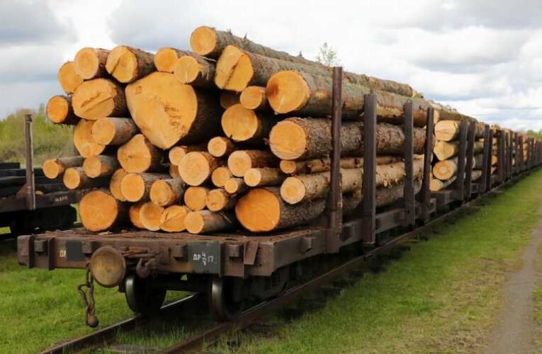 „Szankcióbumeráng”: Litvánia a fa- és bútorüzletág elvesztését kockáztatja