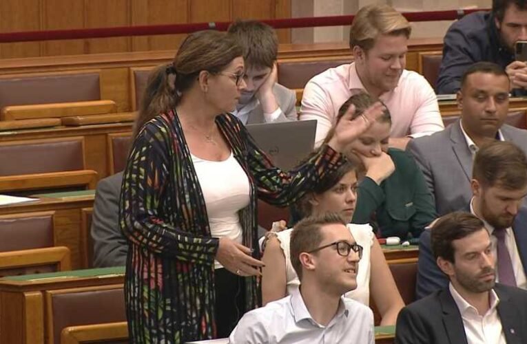 Stoffán György: Mucika és Fegyőr… avagy a nemzet új rémálmai