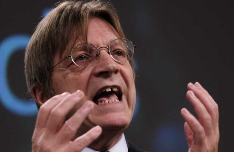 Fogtündér Verhofstadtot a frász kerülgeti Trump és Orbán találkozója miatt