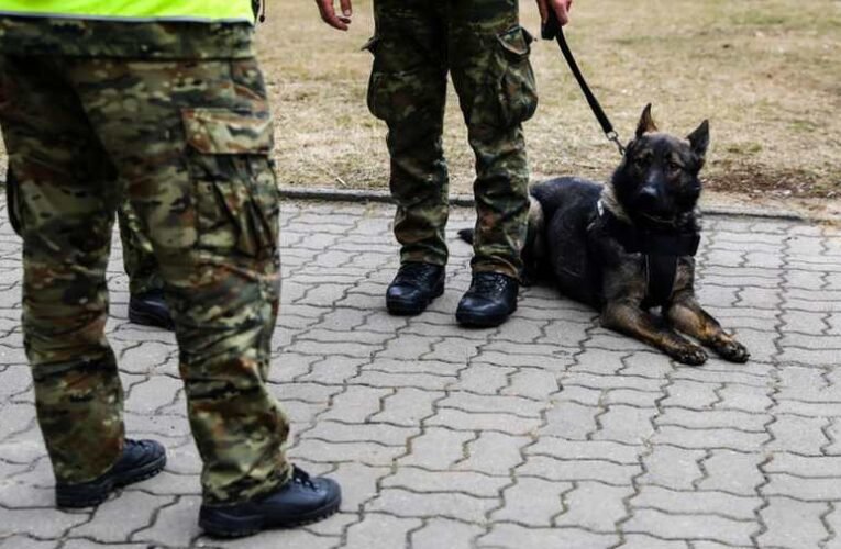 Merényletet kíséreltek meg Mariupol polgármestere ellen