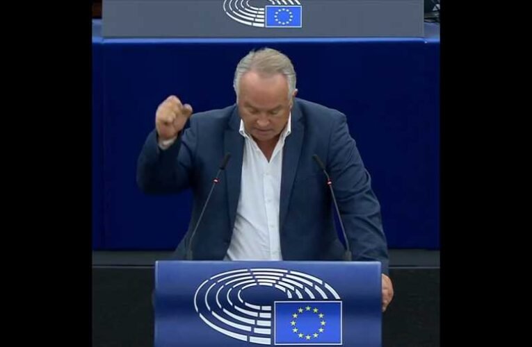 Magyarul állt ki hazánk mellett egy szlovák EP-képviselő (videó)