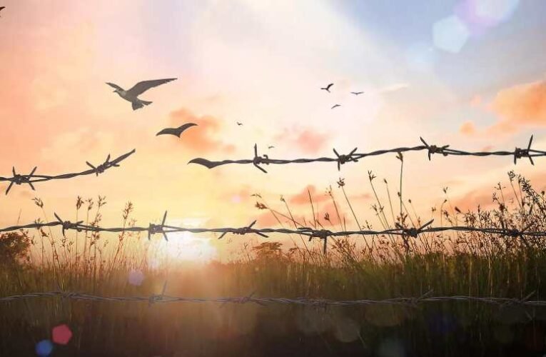 Stoffán György: Tüntetés, Budaházy Gyuri szabadulásáért