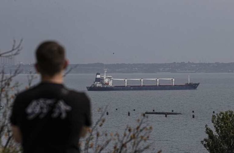 Nem az éhező afrikaiak kapják az ukrán gabonaszállítmányokat