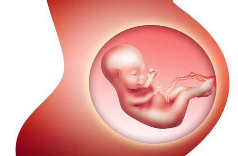 Eltűnt babák nyomában – az abortusz a vezető halálok