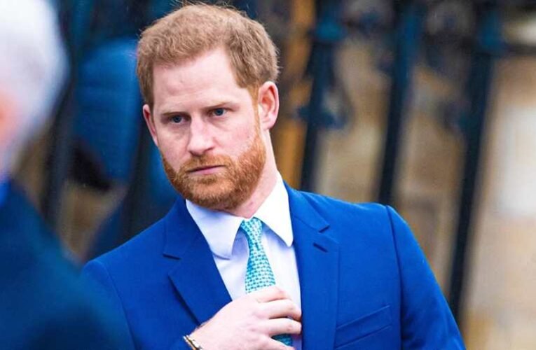 Harry herceg szerint „nagyon sok mindenre nincs magyarázat” édesanyja halála körül