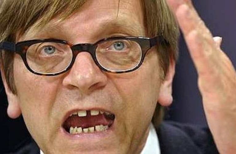 Őrjöng Guy Verhofstadt az Orbán interjú miatt, szerinte a miniszterelnök és Trump is “őrült hazaárulók”
