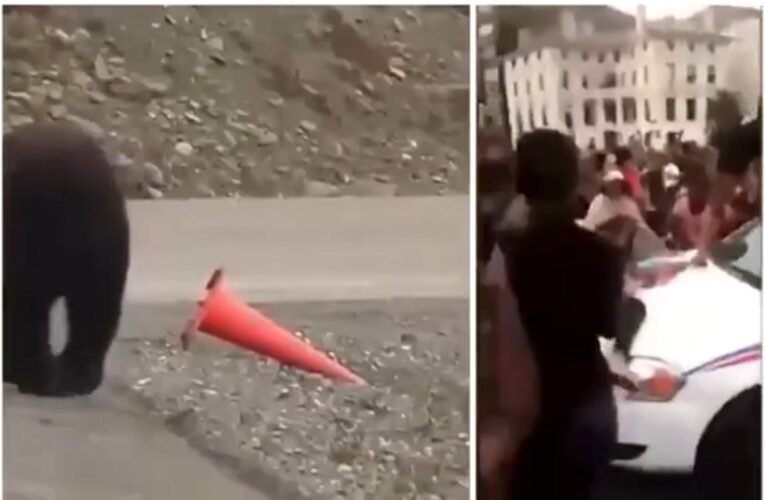 Az a lényeg, hogy ne keverjük össze, melyik az állat