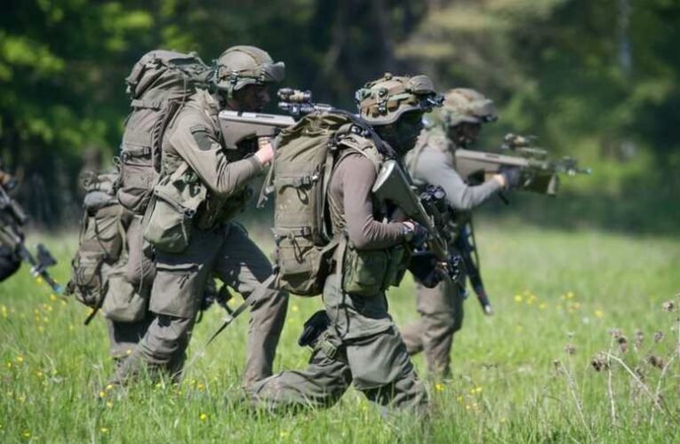 Ausztria semlegességének feladását sürgetik