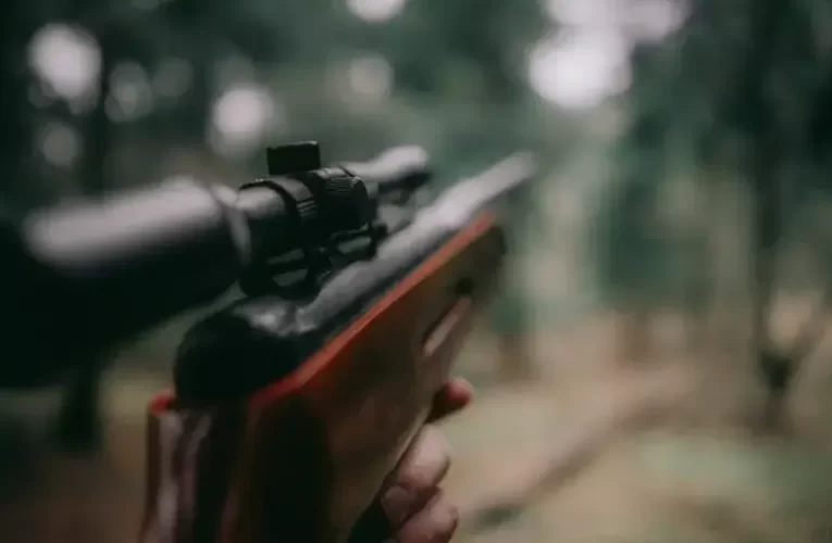 Lelőtte feleségét, majd magával is végzett egy férfi Mohácson